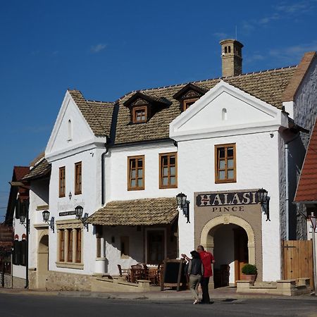 Halasi Pince Panzio Villany Bagian luar foto