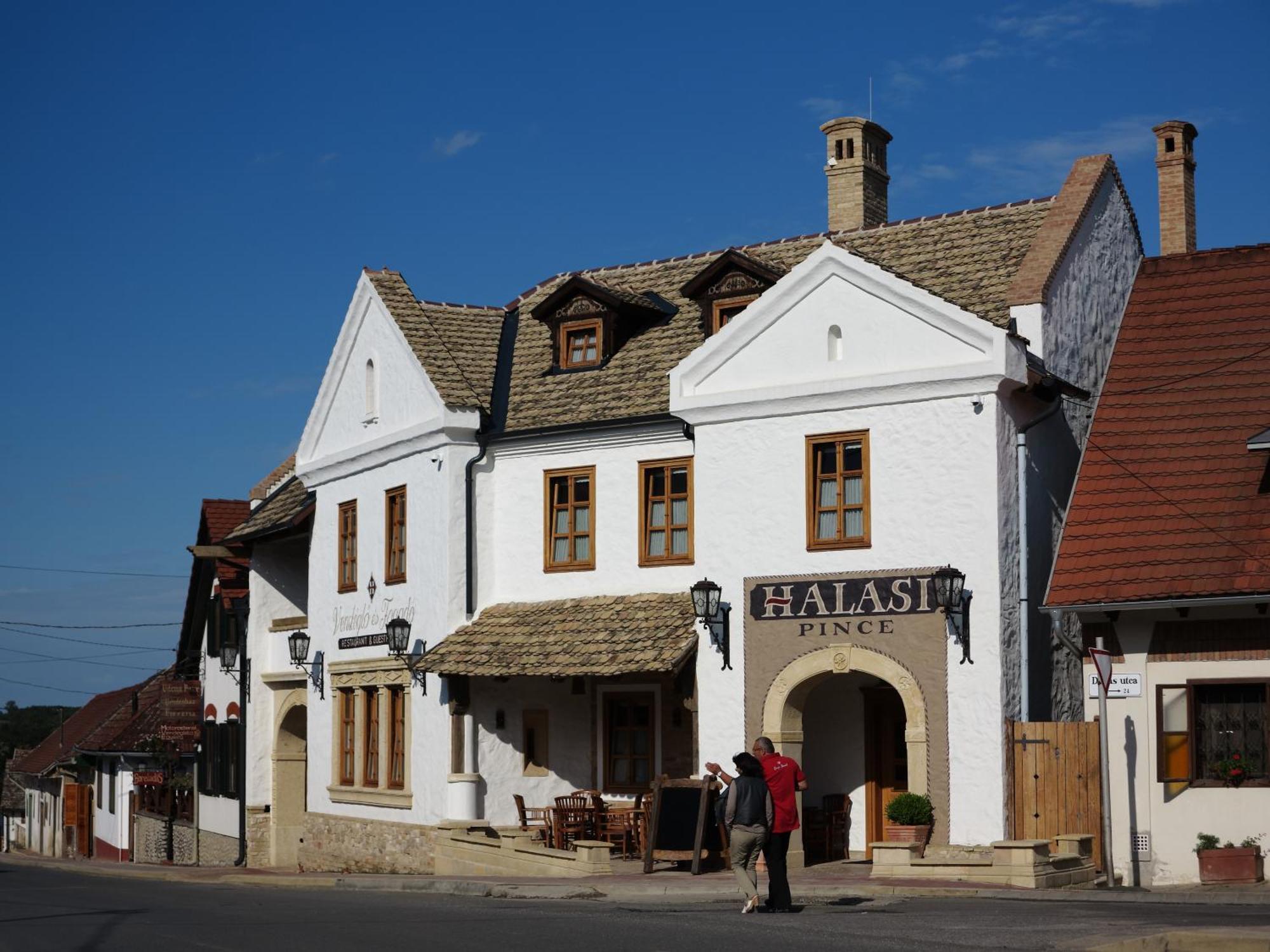 Halasi Pince Panzio Villany Bagian luar foto