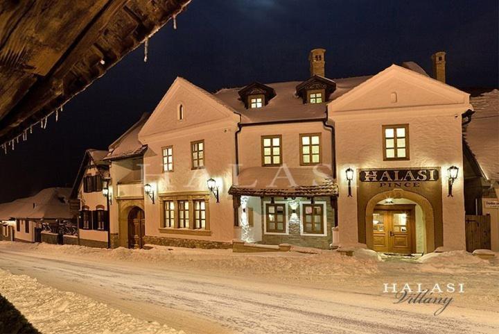 Halasi Pince Panzio Villany Bagian luar foto