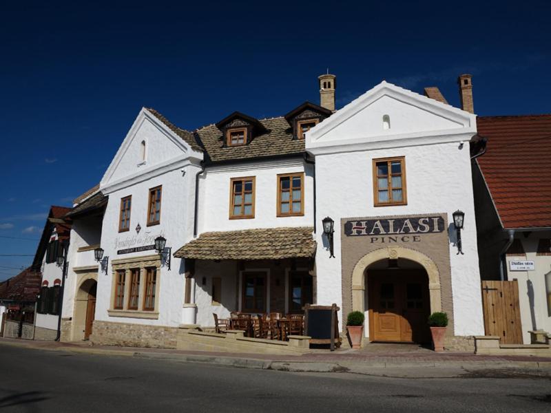 Halasi Pince Panzio Villany Bagian luar foto