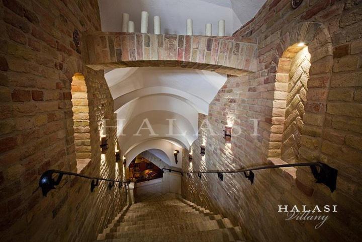 Halasi Pince Panzio Villany Bagian luar foto